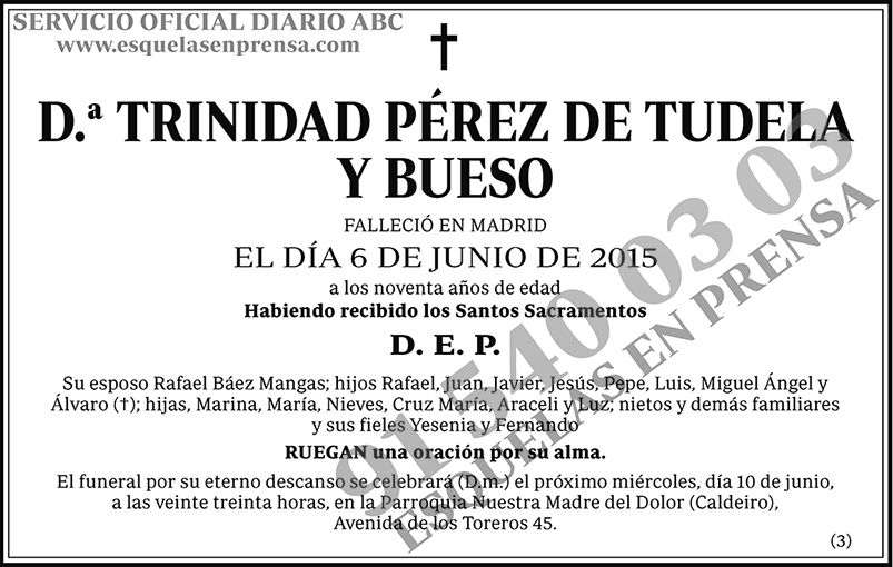Trinidad Pérez de Tudela y Bueso
